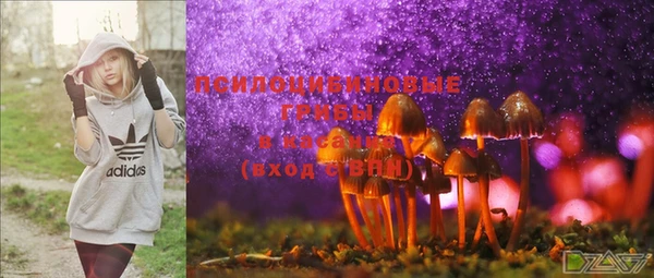 СК Осинники