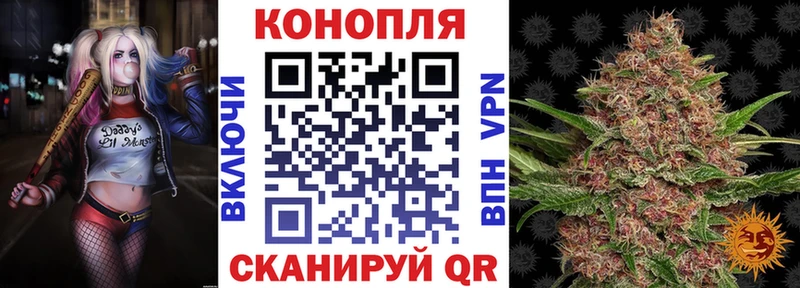 Канабис планчик  Купить где  Электросталь 